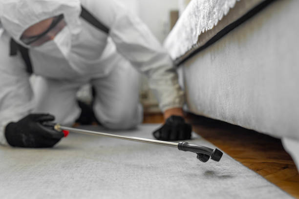 Professional Cockroach Control technician working in Marianna, FL